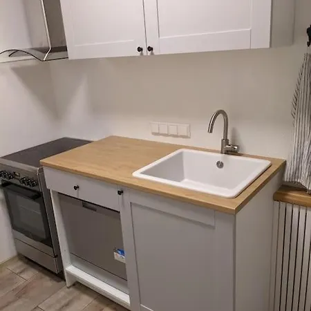 Apartment In Center Of With A/c Parnu